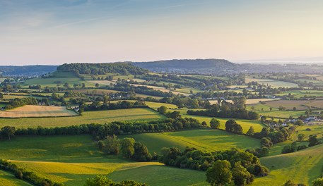 Agri-Market Outlook: January 2022